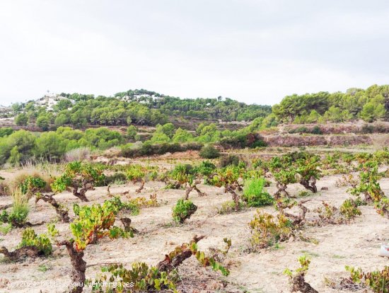 Parcela en venta en Teulada (Alicante)