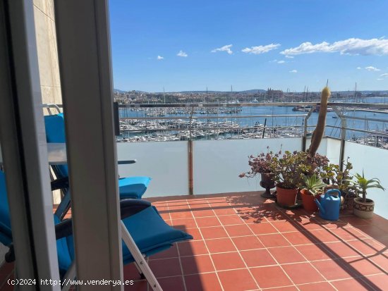 Apartamento en venta en Palma de Mallorca (Baleares)