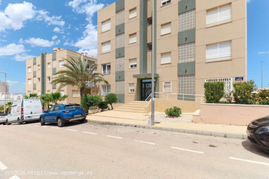 Apartamento en venta en Torrevieja (Alicante)