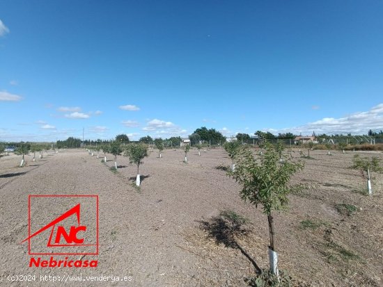  Finca en venta en El Cuervo de Sevilla (Sevilla) 