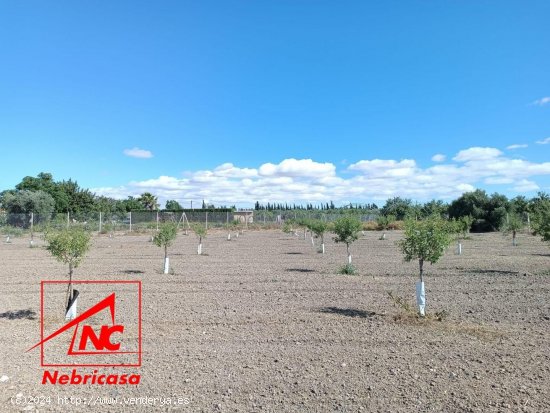 Finca en venta en El Cuervo de Sevilla (Sevilla)