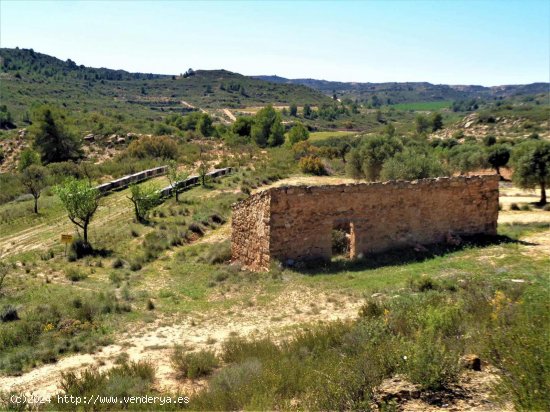 Finca en venta en Fabara (Zaragoza)