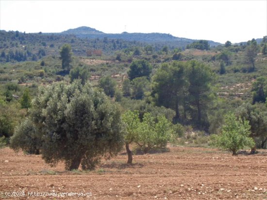 Finca en venta en Fabara (Zaragoza)