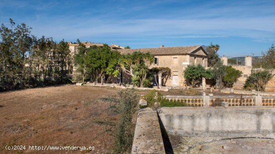  Finca en venta en Manacor (Baleares) 