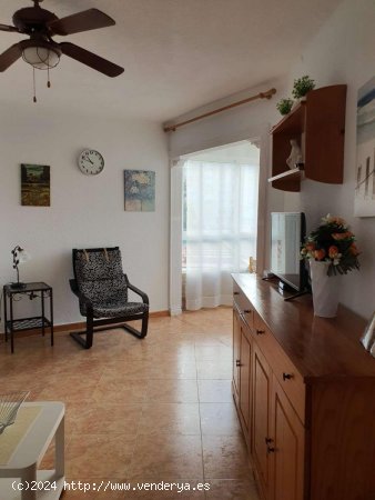 Apartamento en alquiler en Torrox (Málaga)