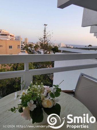 Estudio en venta en Adeje (Tenerife)