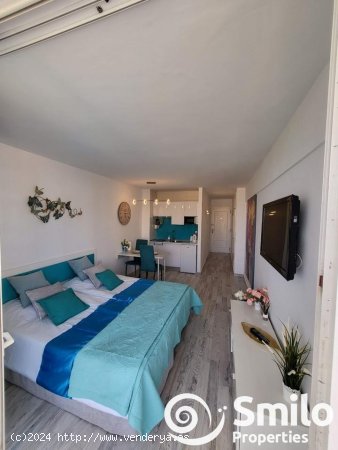 Estudio en venta en Adeje (Tenerife)