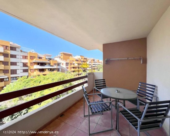 Apartamento en alquiler en Torrevieja (Alicante)