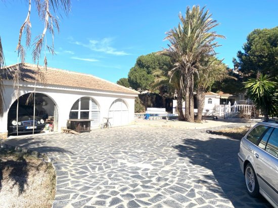  Villa en venta en Torrevieja (Alicante) 