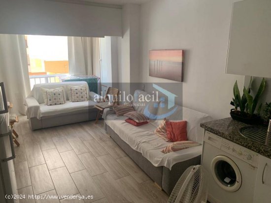 ¡¡¡¡SE ALQUILA PRECIOSO APARTAMENTO DE UNA HABITACION DE SEPTIEMBRE A JUNIO!!!!!