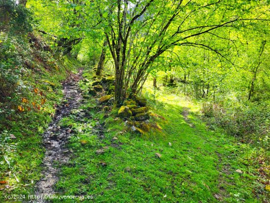 Finca en venta en Piloña (Asturias)