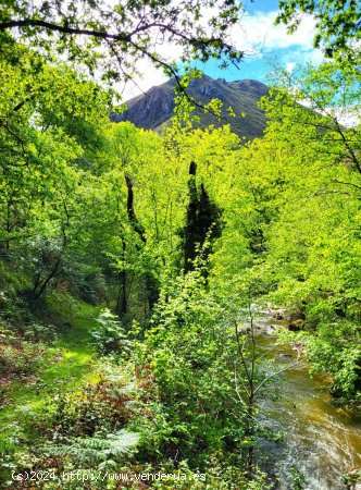 Finca en venta en Piloña (Asturias)