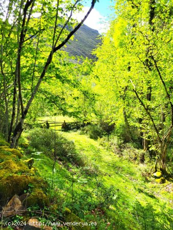 Finca en venta en Piloña (Asturias)