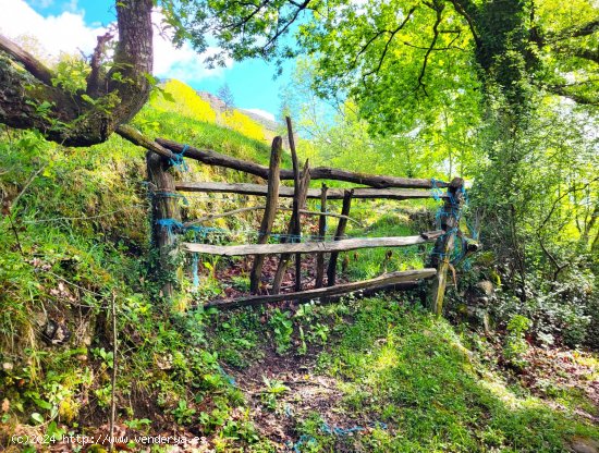 Finca en venta en Piloña (Asturias)