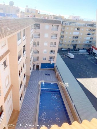 Apartamento en venta en Torrevieja (Alicante)