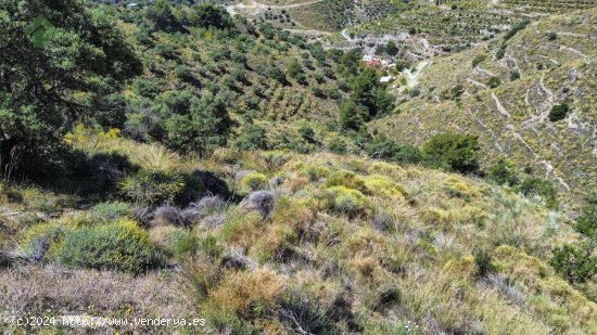 Finca en venta en Almuñécar (Granada)