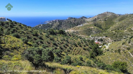 Finca en venta en Almuñécar (Granada)