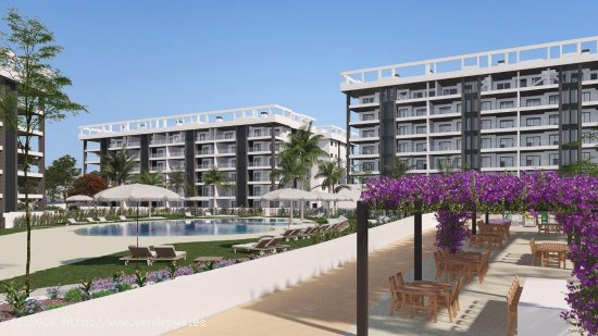 Apartamento en venta en construcción en Torrevieja (Alicante)