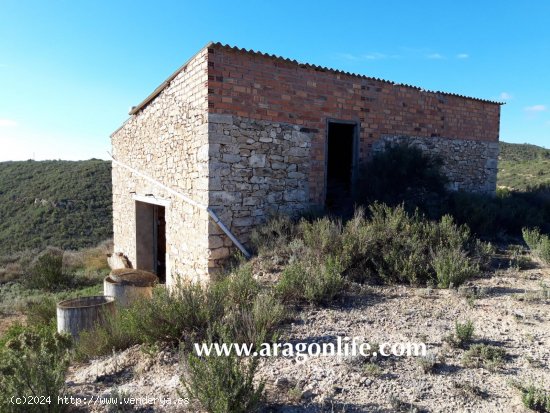 Finca en venta en Mequinenza (Zaragoza)