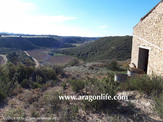 Finca en venta en Mequinenza (Zaragoza)