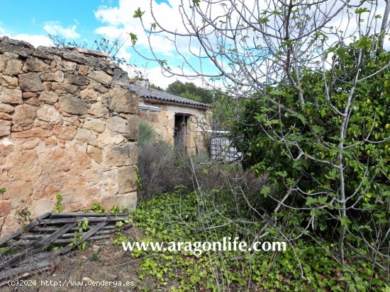 Finca en venta en Caseres (Tarragona)