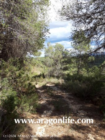 Finca en venta en Caseres (Tarragona)