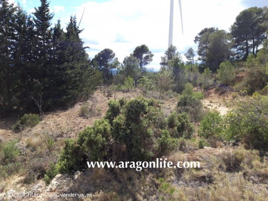 Finca en venta en Caseres (Tarragona)