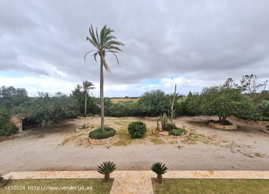 Finca en alquiler en Campos (Baleares)