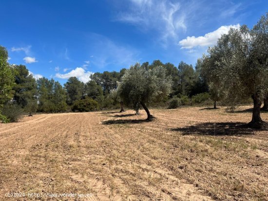 Finca en venta en Arens de Lledó (Teruel)