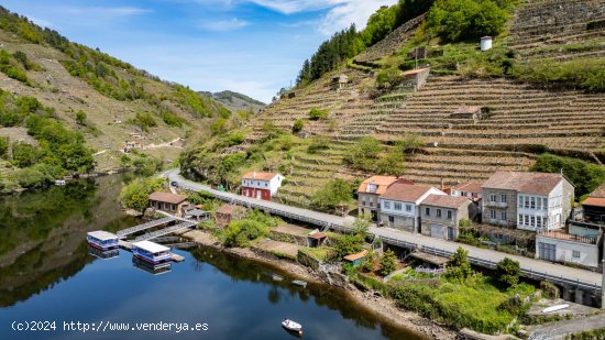 Casa en venta en O Saviñao (Lugo)