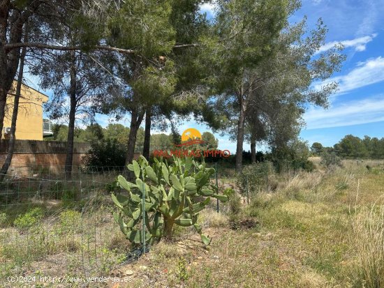  Parcela en venta en Mont-roig del Camp (Tarragona) 