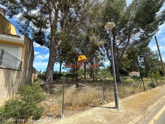 Parcela en venta en Mont-roig del Camp (Tarragona)