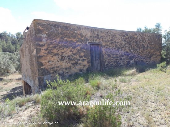 Finca en venta en Fabara (Zaragoza)