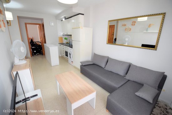  Apartamento en alquiler en Guardamar del Segura (Alicante) 