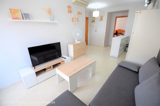 Apartamento en alquiler en Guardamar del Segura (Alicante)