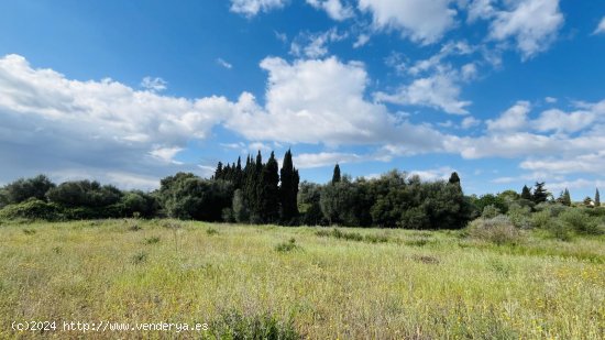 Solar en venta en Muro (Baleares)