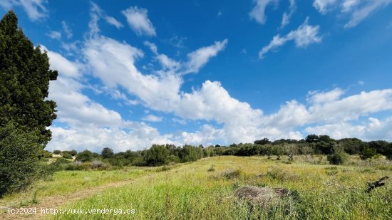 Solar en venta en Muro (Baleares)