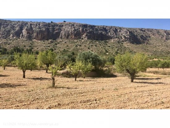 Solar en venta en La Romana (Alicante)