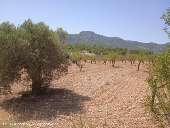 Solar en venta en La Romana (Alicante)