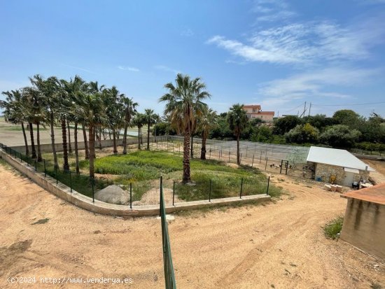 Finca en venta en L Ampolla (Tarragona)