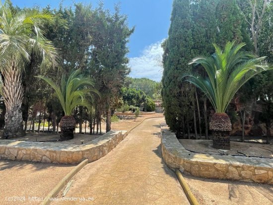 Finca en venta en L Ampolla (Tarragona)