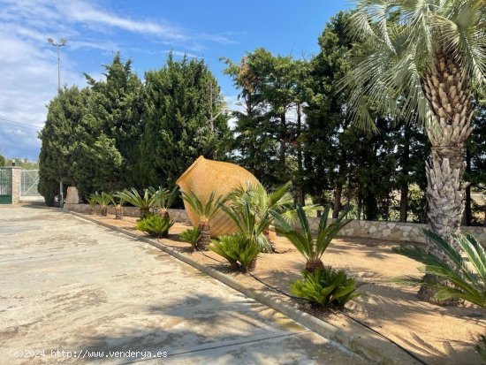 Finca en venta en L Ampolla (Tarragona)