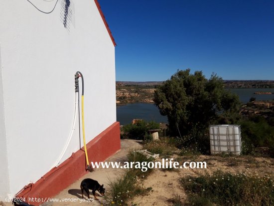 Finca en venta en Caspe (Zaragoza)