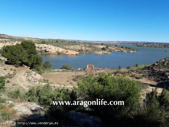 Finca en venta en Caspe (Zaragoza)