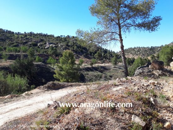 Finca en venta en Maella (Zaragoza)