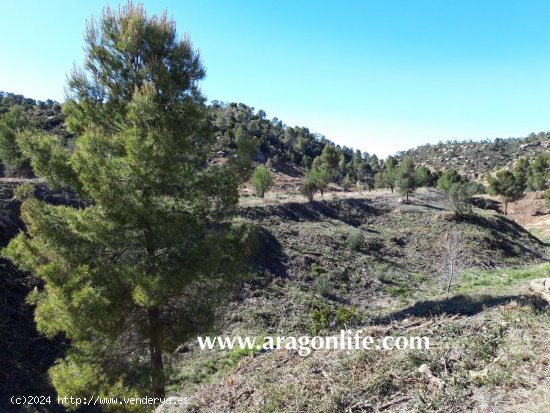 Finca en venta en Maella (Zaragoza)