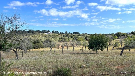 Solar en venta en Manacor (Baleares)