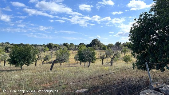 Solar en venta en Manacor (Baleares)