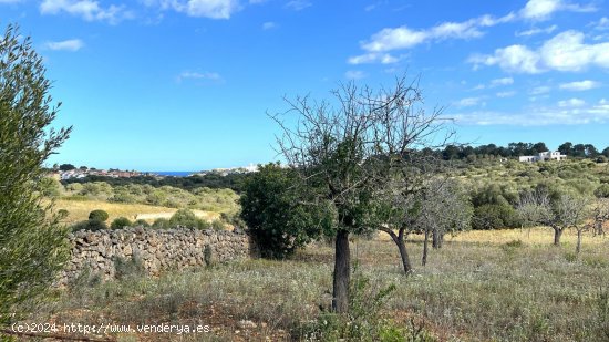 Solar en venta en Manacor (Baleares)