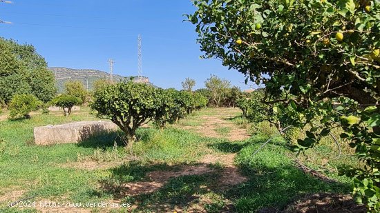 Finca en venta en Llucmajor (Baleares)